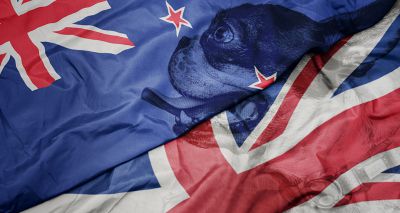 Kennel Club announces collaboration with Dogs New Zealand